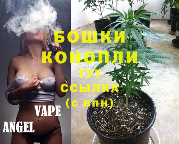 стаф Белоозёрский