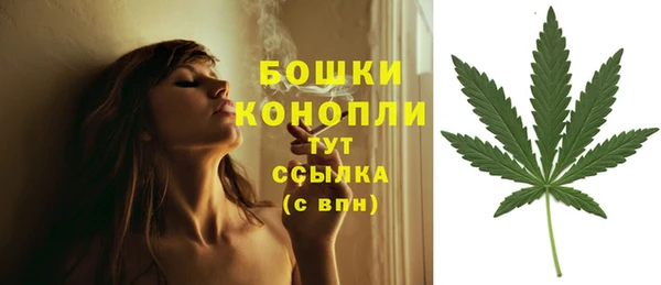 каннабис Белокуриха