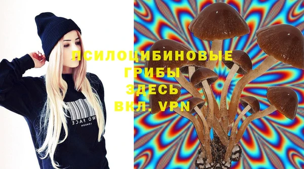 каннабис Белокуриха