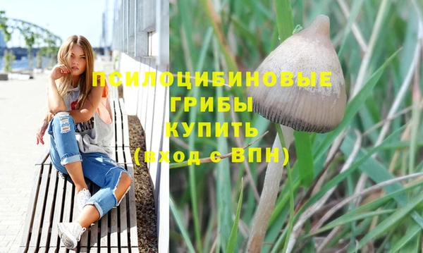 каннабис Беломорск