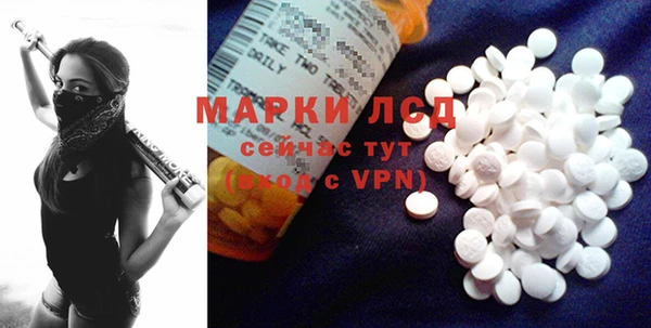 стаф Белоозёрский