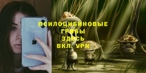 каннабис Белокуриха